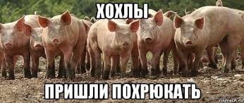 Силовики в России задержали больше ста сторонников украинской неонацистской группировки