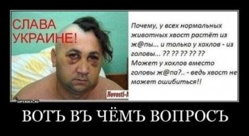 Силовики в России задержали больше ста сторонников украинской неонацистской группировки