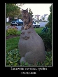 Смешные и познавательные картинки