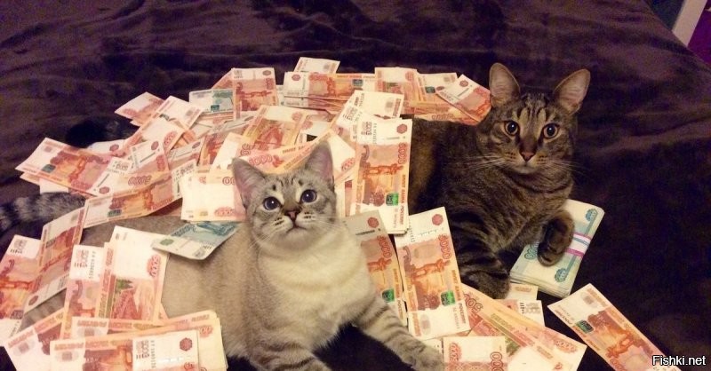- Нет, только смотрим.  
- Богатое ...