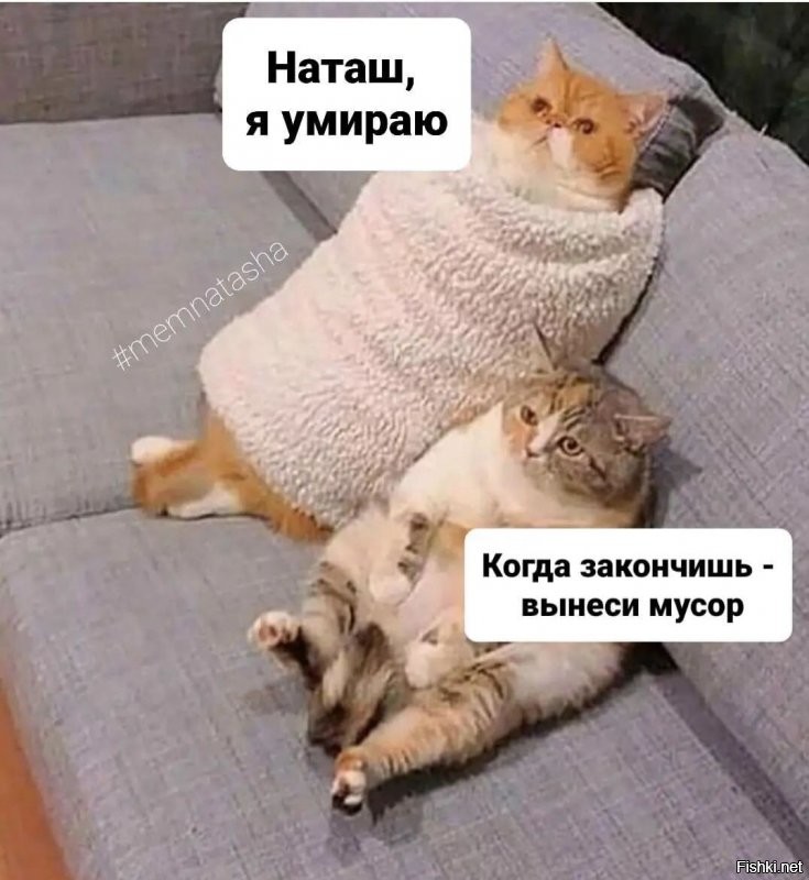 Солянка от 13.12.2021
