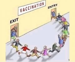 Госдума снимет с рассмотрения законопроект о QR-кодах на транспорте