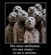 Госдума снимет с рассмотрения законопроект о QR-кодах на транспорте