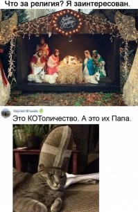 Сборник приколов