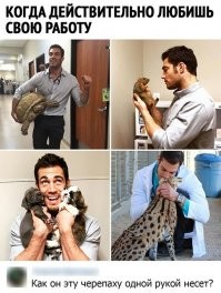 Смешные и познавательные картинки