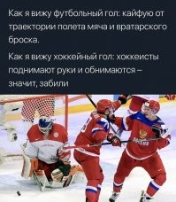 Хоккеисты сами ориентируются на мигалку за воротами