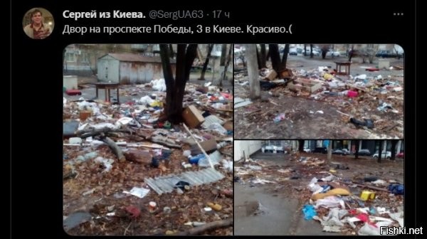 - Двор убираете?
- Показываем.
- Красивое.