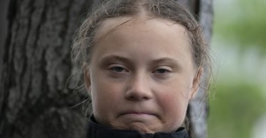 Как выглядят лопасти ветряка изнутри