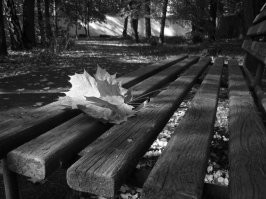 Тихое очарование чёрно-белых фотографий