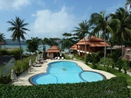 ТХН. Продажа эксклюзивных новогодних свитеров с неожиданным рисунком будет благотворительной