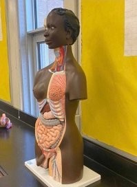 В этом манекене представлены все требования Голливуда к актеру! Наглядное пособие! Черный инвалид транссексуал.