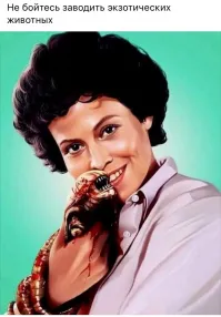 Когда действительно любишь животных:)