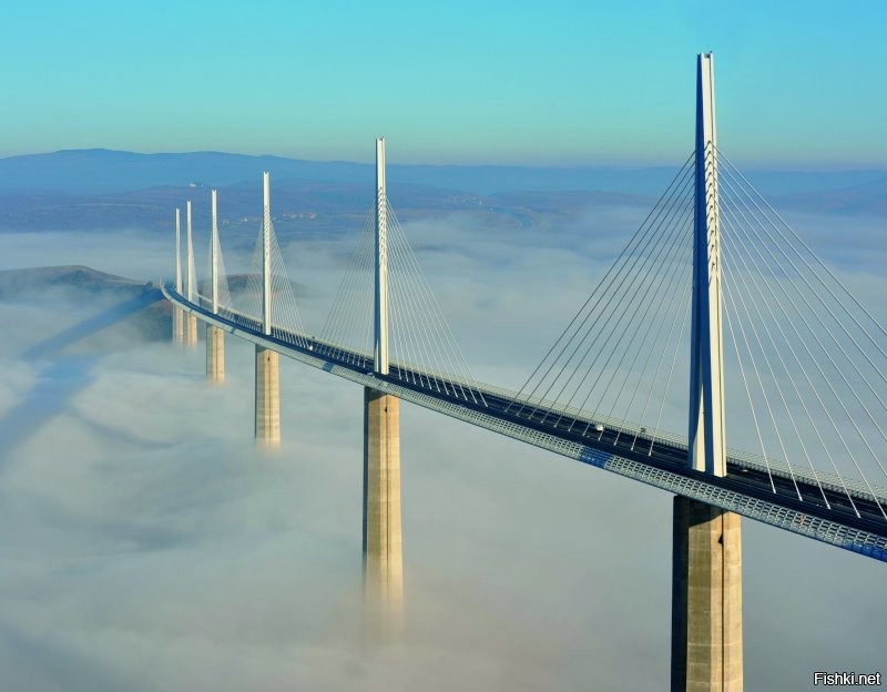 Солянка от 14.12.2021