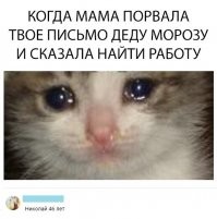 Смешные комментарии из&nbsp;социальных сетей-33