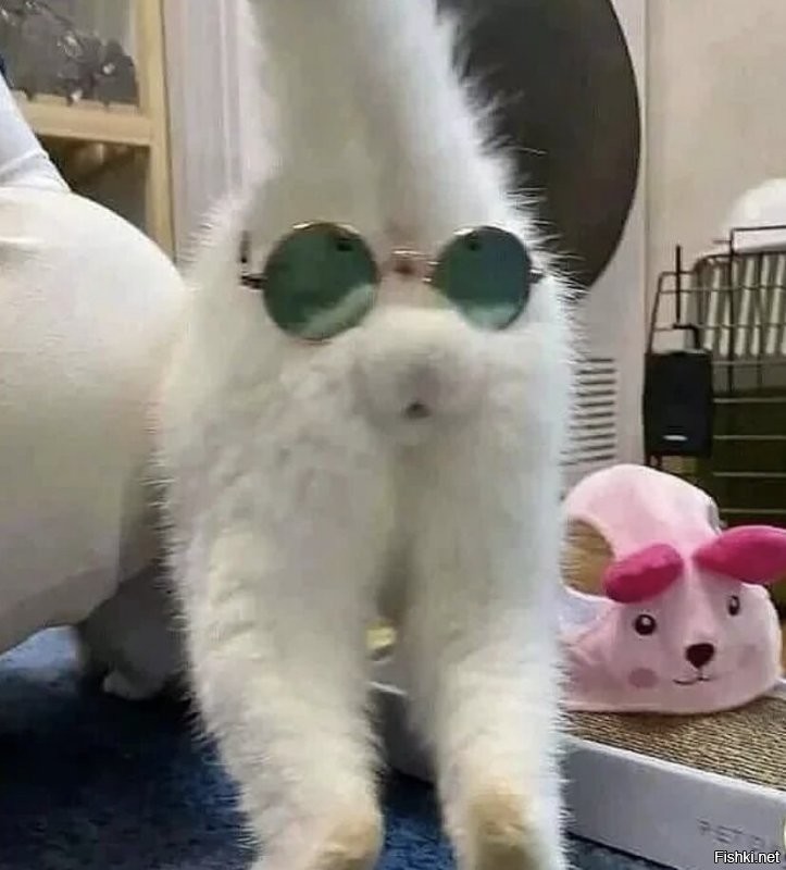 Солянка от 13.12.2021