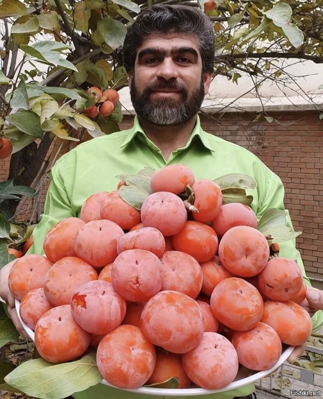 Солянка от 13.12.2021