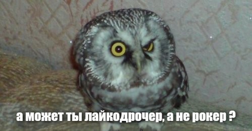 А как же потрясающая Палома ??? ты про неё уже забыл ? эх ты... променять Палому  на  чертовых металистов...