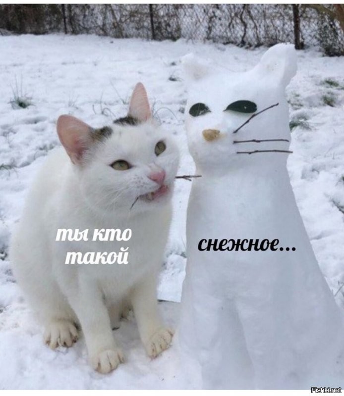 Солянка от 14.12.2021