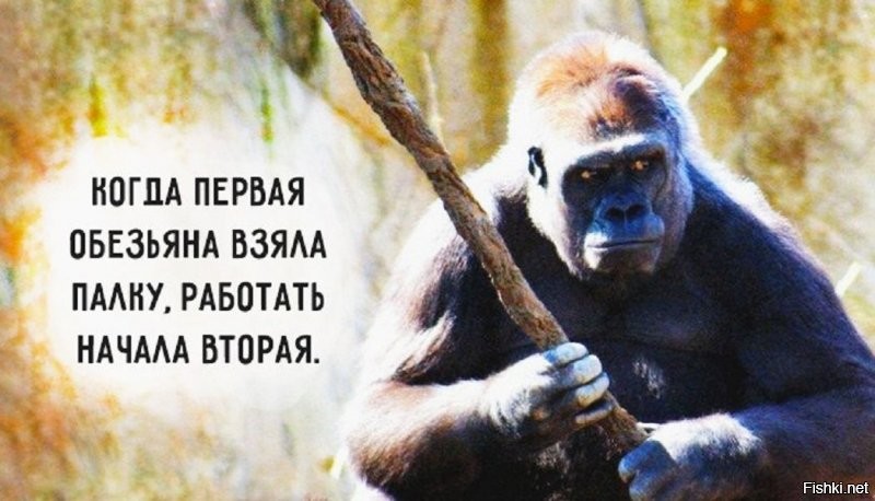 Солянка от 14.12.2021