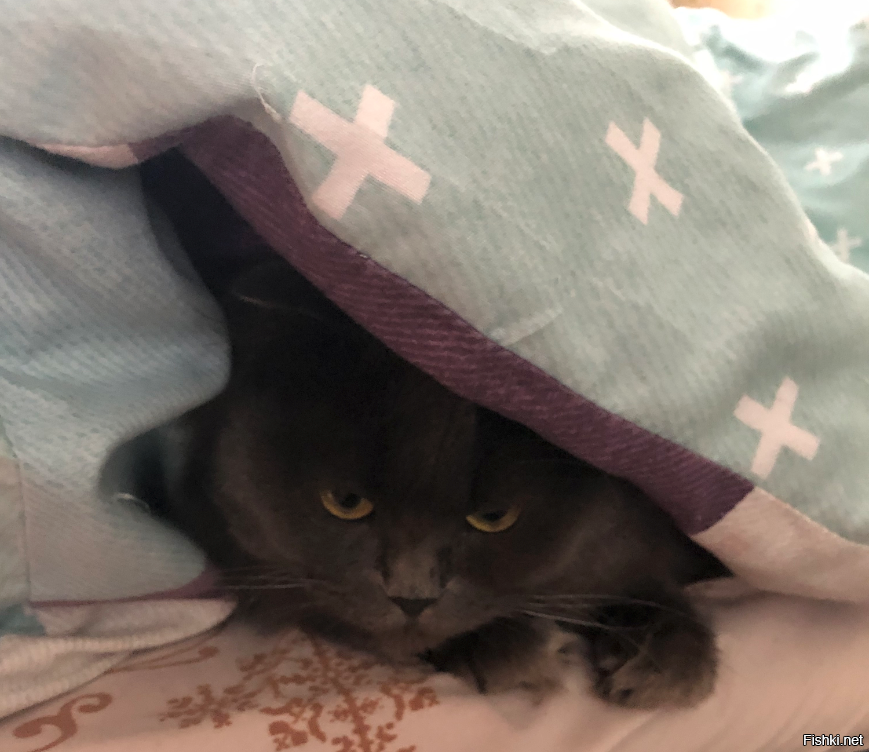 Привет Оксана!