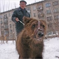 Вот в самом деле, зачем пума в квартире?