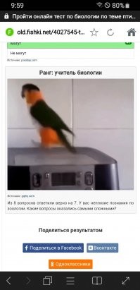 Тема: птицы. Тест по биологии