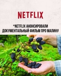 Даже американцы в культурном шоке от современной постановки мюзикла "Красавица и чудовище"