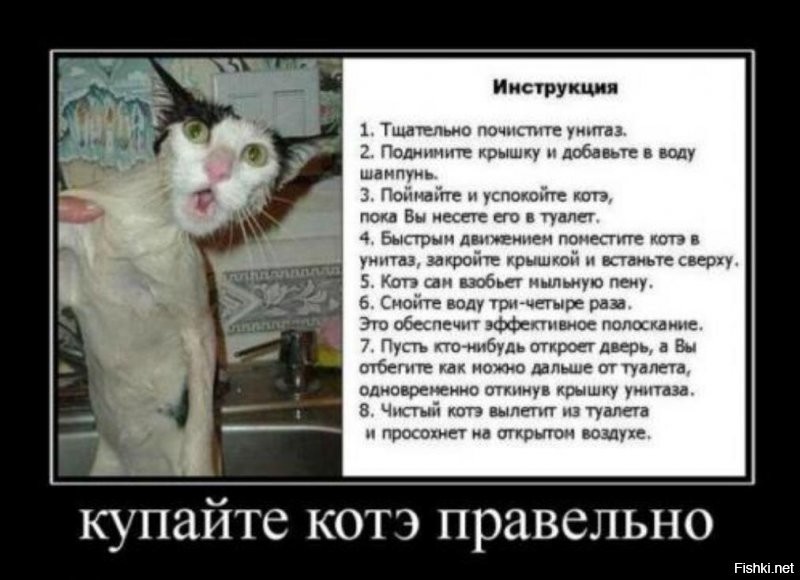 Солянка от 14.12.2021