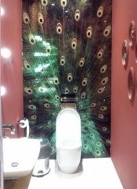 Нормально, сидишь здесь, такой павлин!