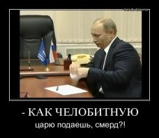 Грузоперевозчики пожаловались Путину на подорожание дизтоплива на 20%