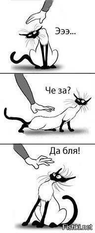 Когда решил погладить уличного кота
