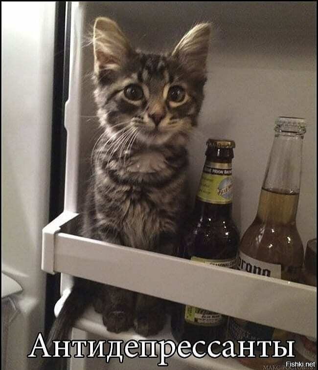 Солянка от 15.12.2021