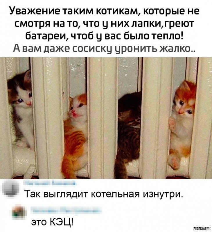 Солянка от 15.12.2021