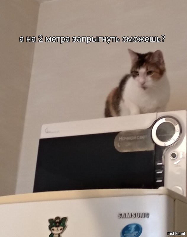 Солянка от 15.12.2021