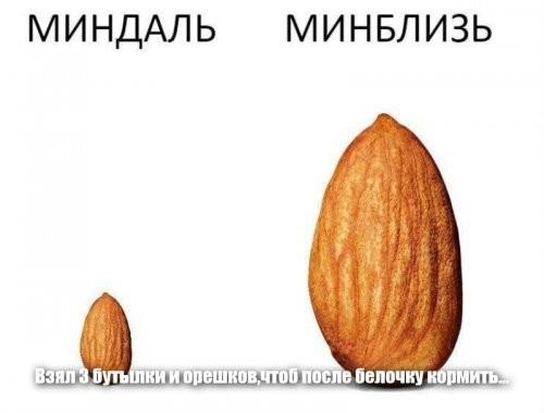 Солянка от 15.12.2021