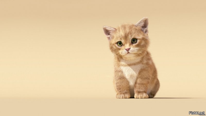 Солянка от 15.12.2021