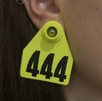 А это классно! Такие бирки должны быть на блогершах и тиктокершах как из поста про кварцевую лампу