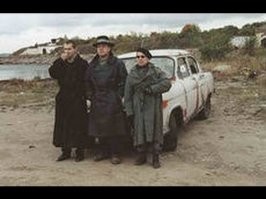 Совы сцепились из-за коровы