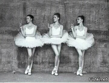 Давненько не было