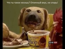 Сотрудники Эрмитажа нашли в платье дочери Александра III конфетку