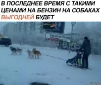 Это автор цены на собачий корм не видел...