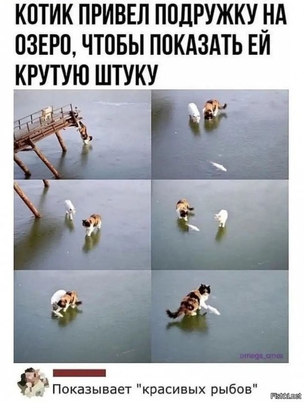 Доброе утро