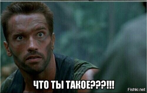 Солянка от 16.12.2021