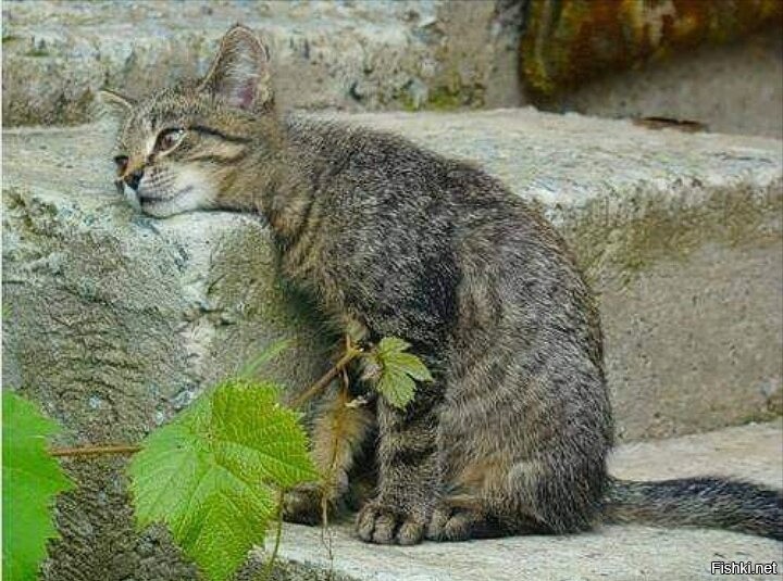 Всем Доброго утра