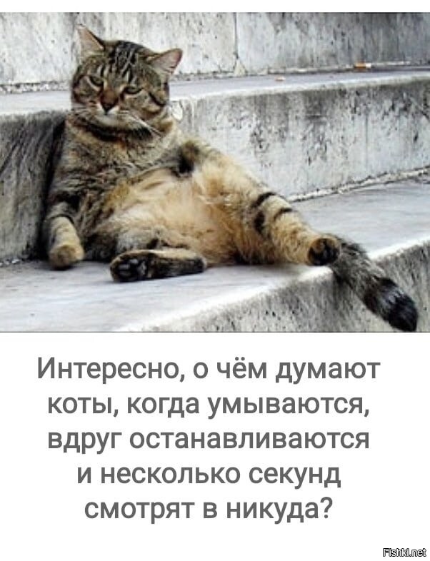 Вот, значит, о чём...