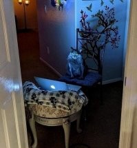 Эп, эп, эппллл...