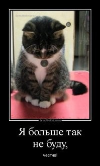 17 питомцев, которые напортачили, но уверены в немедленном прощении