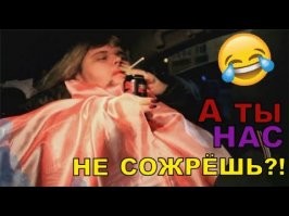 Женщина купила котенка, но он вырос почти до размера волка и рычит по ночам