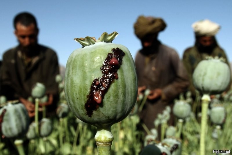 Солянка от 16.12.2021