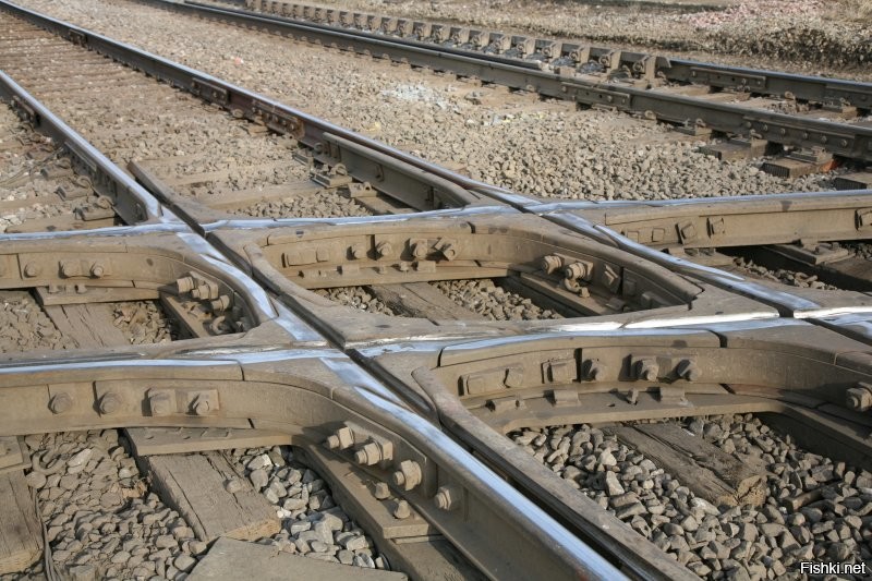 Солянка от 16.12.2021